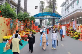 TP Hồ Chí Minh: Mang Xuân đến với bệnh nhân không được về quê đón Tết