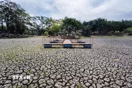 Hiện tượng El Nino. (Nguồn: TTXVN)