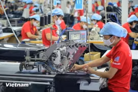 (Ảnh minh họa. PV/Vietnam+)