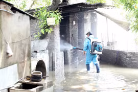 Trạm y tế xã Thanh Nghị, huyện Thanh Liêm, tiến hành phun dung dịch khử khuẩn các vùng ngập lụt sau khi nước rút. (Ảnh: Nguyễn Chinh/TTXVN)