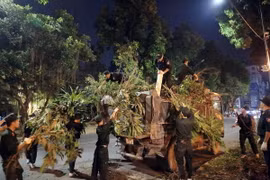Cán bộ, chiến sỹ Cảnh sát cơ động dọn cây gãy đổ tại khu vực xung quanh hồ Thiền Quang, quận Hai Bà Trưng. (Ảnh: Phạm Kiên/TTXVN)