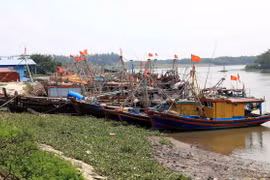 Tàu thuyền neo đậu tránh bão số 3. (Ảnh minh họa. Thế Duyệt/TTXVN)