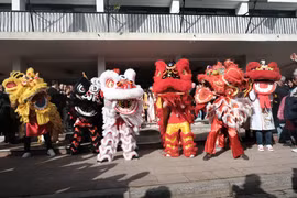 (Nguồn: Vietnam+)