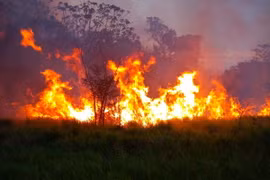(Ảnh minh họa. AFP/TTXVN)