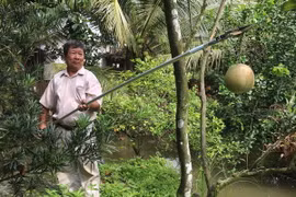 Ông Lê Phước Lộc trình diễn cách sử dụng kéo cắt tỉa đa năng. (Ảnh: Minh Trí/TTXVN)
