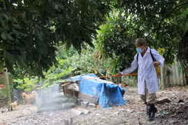 Cán bộ thú y phun khử trùng cho nhà dân khu vực xung quanh ổ dịch cúm A/H5N6 tại xã An Hồng, An Dương, Hải Phòng. (Ảnh: TTXVN)