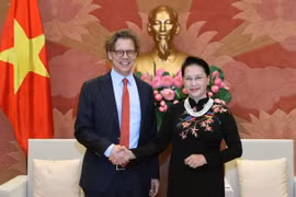 Chủ tịch Quốc hội Nguyễn Thị Kim Ngân tiếp Đại sứ Thụy Điển tại Việt Nam Pereric Hogberg đến chào xã giao. (Ảnh: Trọng Đức/TTXVN)
