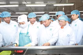 Thủ tướng Nguyễn Xuân Phúc đến thăm Tập đoàn thủy sản Minh Phú. (Ảnh: Thống Nhất/TTXVN)