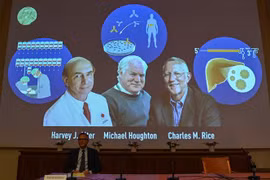Chân dung các nhà khoa học đoạt giải Nobel Y học 2020 (trên màn hình, từ trái sang) Harvey Alter (Mỹ), Michael Houghton (Anh) và Charles Rice (Mỹ) trong cuộc họp báo công bố về giải thưởng ở Viện Karolinska, thủ đô Stockholm (Thụy Điển). (Ảnh: AFP/TTXVN)