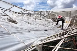 Người dân dỡ bỏ một phần diện tích nhà bị sập do mưa đá. (Ảnh minh họa: Nguyễn Dũng/TTXVN)