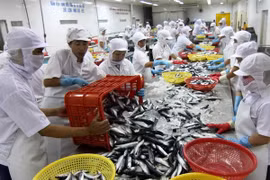 [Video] Các tỉnh ĐBSCL tăng năng lực cạnh tranh thu hút đầu tư