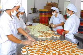 Du học sinh Việt Nam tại Australia bán bánh trung thu làm từ thiện