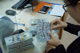 Ảnh minh họa. (Nguồn: LienVietPostBank)