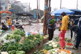 Tăng giá xăng, điện: Cước vận tải ổn định, giá thực phẩm tăng