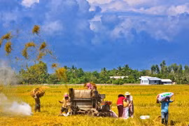 Cần Thơ dẫn đầu ĐBSCL về thu nhập bình quân đầu người 