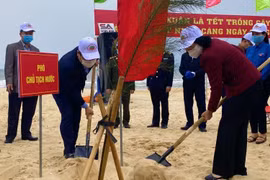 Phó Chủ tịch nước Đặng Thị Ngọc Thịnh trồng cây đầu Xuân Tân Sửu tại Quảng Bình. (Ảnh: Nhân dân)