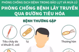 [Infographics] Phòng chống dịch bệnh trong bão lụt và mưa lũ