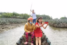Du khách thích thú với mô hình homestay và farmstay. (Ảnh: Ánh Tuyết/TTXVN)