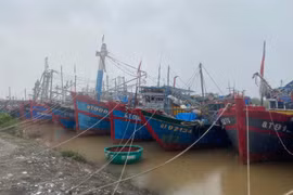 Tàu thuyền neo đậu an toàn tại Khu neo đậu tàu thuyền ở Thị trấn Cửa Việt,tỉnh Quảng Trị. (Ảnh: Thanh Thủy/TTXVN)