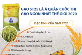 Những đặc tính khiến ST25 giành á quân cuộc thi Gạo ngon nhất thế giới