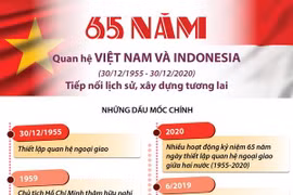 Quan hệ Việt Nam-Indonesia: Tiếp nối lịch sử, xây dựng tương lai