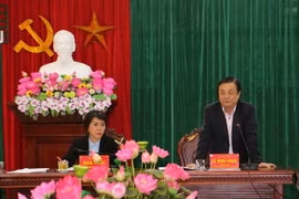 Thứ trưởng Bộ Nông nghiệp và Phát triển Nông thôn Lê Minh Hoan phát biểu tại buổi làm việc. (Ảnh: Quang Duy/TTXVN)