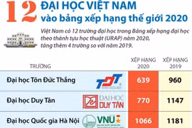 [Infographics] 12 đại học Việt Nam vào bảng xếp hạng thế giới 2020