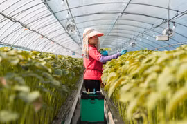 Người lao động tại một trang trại ở Hàn Quốc. (Nguồn: Aboutamazon)