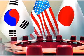 Ảnh minh họa. (Nguồn: Businesskorea)