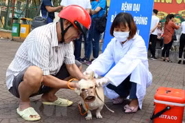 (Nguồn: TTXVN)