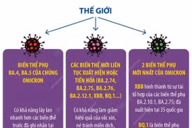 WHO: Vaccine vẫn có giá trị bảo vệ cao trước đại dịch COVID-19.