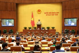 Quang cảnh phiên thảo luận. (Ảnh: Doãn Tấn/TTXVN)