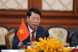 Thứ trưởng Bùi Văn Nam phát biểu tại cuộc họp. (Ảnh: Long-Hùng-Trang/Vietnam+)