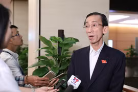 Đại biểu Quốc hội Thành phố Hồ Chí Minh Trần Hoàng Ngân trả lời báo chí bên hành lang Quốc hội. (Ảnh: Văn Điệp/TTXVN)