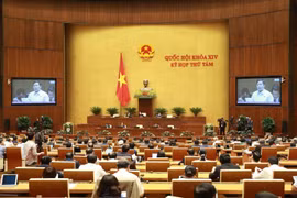Quang cảnh Quốc hội sáng 27/11. (Ảnh: Doãn Tấn/TTXVN)