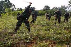 Binh sỹ Bolivia đang phá hủy cây coca. (Nguồn: Telesur)
