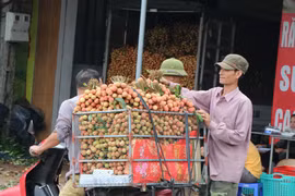 Điểm thu mua vải trên đường 390, huyện Thanh Hà. (Ảnh: Mạnh Minh - TTXVN)