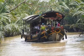 Du lịch bằng thuyền dưới tán dừa được du khách trong và ngoài nước lựa chọn khá nhiều khi đến Bến Tre. Ảnh: Chương Đài - TTXVN