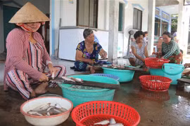 Ảnh minh họa. (Ảnh: Thanh Hòa/TTXVN)