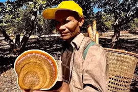 Ông KSơ trước khi đi lạc vào rừng. (Nguồn: Pháp Luật)