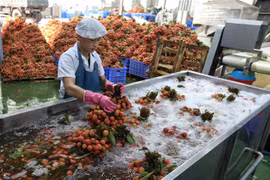 Bộ trưởng Nguyễn Hồng Diên đề nghị phía Ấn Độ đẩy mạnh mở cửa thị trường đối với các mặt hàng nông sản, trái cây tươi của Việt Nam. (Ảnh: Danh Lam/TTXVN)