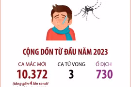 Số ca sốt xuất huyết tại Hà Nội tăng lên hơn 2.000 ca trong một tuần