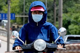 Ảnh minh họa. (Ảnh: Quang Quyết/TTXVN)