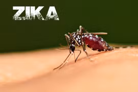 4 nước có nguy cơ bùng phát dịch Zika trong dịp Olympic 2016 