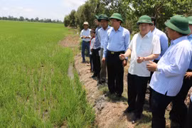 Phó Thủ tướng Trịnh Đình Dũng kiểm tra tình hình xâm nhập mặn tại huyện Hồng Dân, tỉnh Bạc Liêu. (Ảnh: Huỳnh Sử/TTXVN)