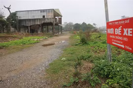 Ảnh minh họa. (Nguồn: TTXVN)