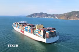 Cảng biển Cái Mép-Thị Vải. (Ảnh: TTXVN)