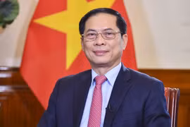 Bộ trưởng Bộ Ngoại giao Bùi Thanh Sơn. (Ảnh: TTXVN phát)