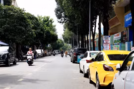 Ôtô đậu dưới lòng đường tại đường Hoa Phượng, phường 2, quận Phú Nhuận. (Ảnh: Hồng Đạt/TTXVN)