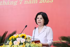 Chủ tịch UBND tỉnh Bắc Ninh Nguyễn Hương Giang. (Ảnh: Dương Giang/TTXVN)
